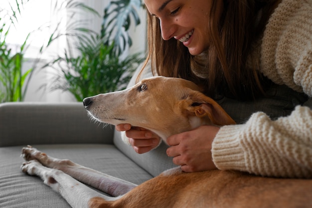 Free Photo woman with greyhound dog at home on the couch