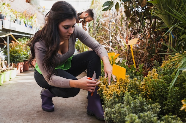 Free Photo woman with pruner tending flowers