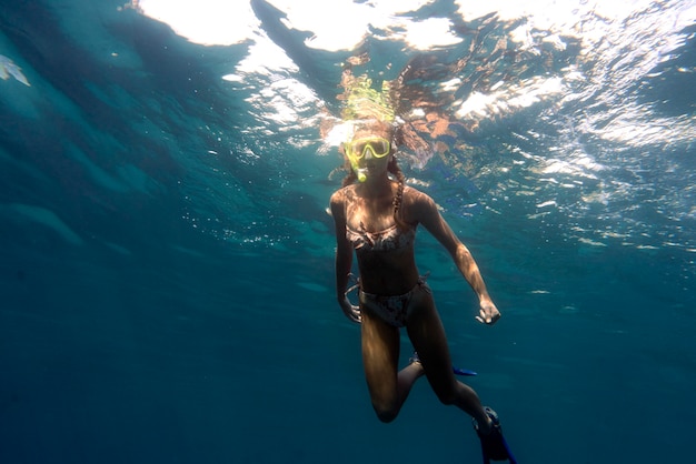 Free Photo woman with scuba gear swimming in the ocean