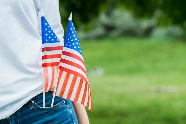 Free photo woman with small usa flag