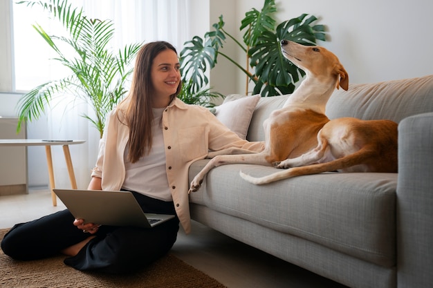 Woman working at home from laptop with greyhound dog on the couch