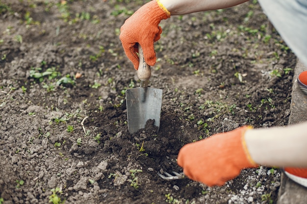 Free photo womans hands in gloves planting young plant