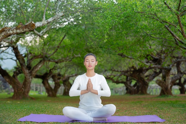 Women are playing yoga at the park