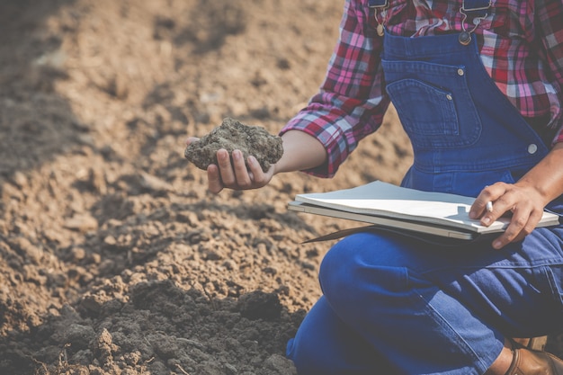 Free photo women farmers are researching the soil.