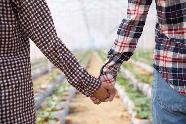 Free photo women holding hands in a melon plantation