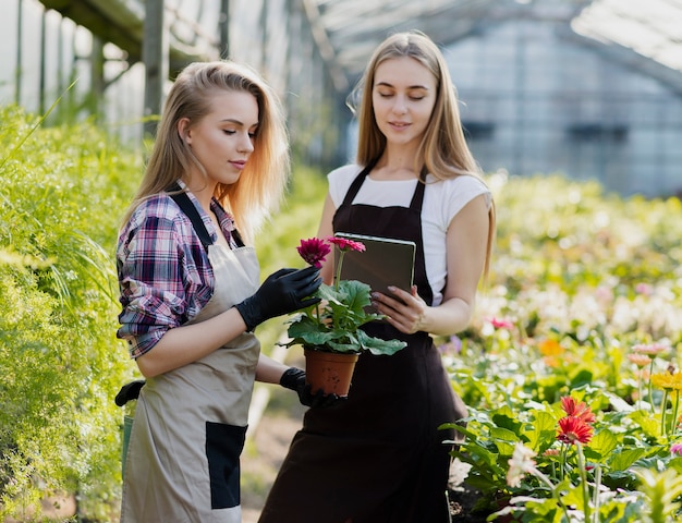 Women with apron in greenhouse