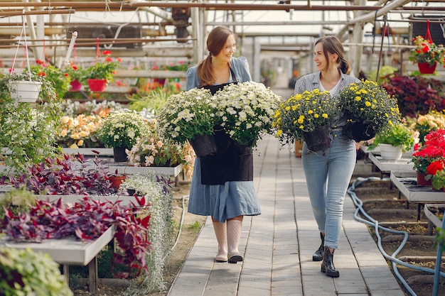 Women working in a greenhouse with a flowerpots