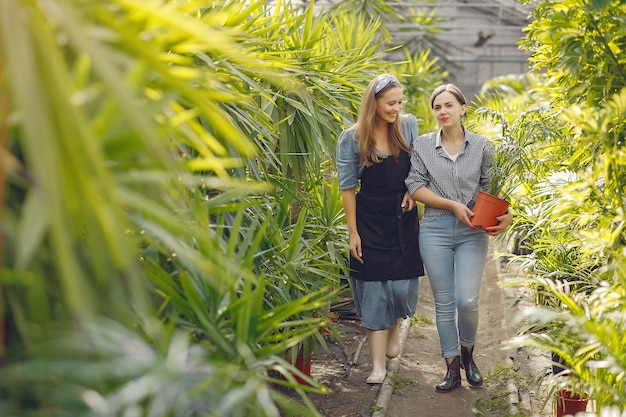 Women working in a greenhouse with a flowerpots