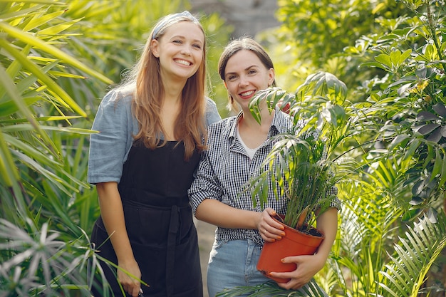 Free photo women working in a greenhouse with a flowerpots