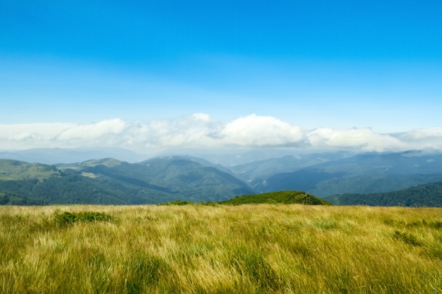 Wonderful landscape of Ukrainian Carpathian mountains.