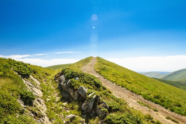 Wonderful landscape of Ukrainian Carpathian mountains.