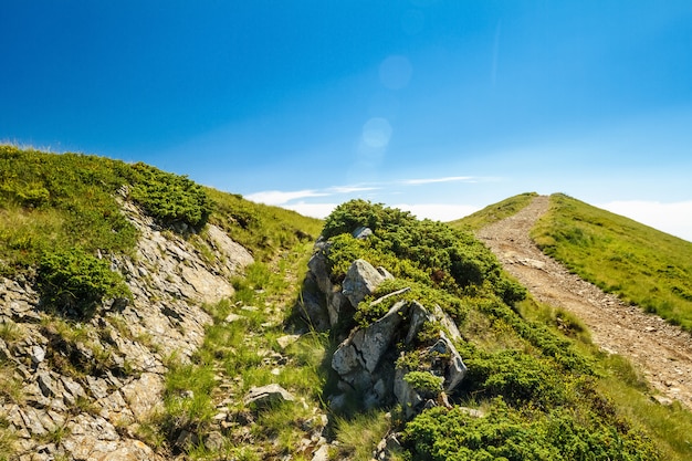 Free photo wonderful landscape of ukrainian carpathian mountains.