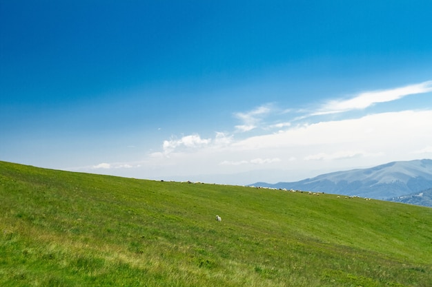 Wonderful landscape of Ukrainian Carpathian mountains.