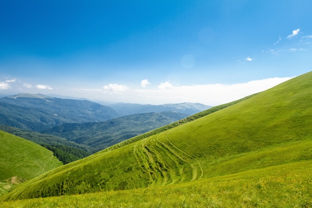 Free Photo wonderful landscape of ukrainian carpathian mountains.