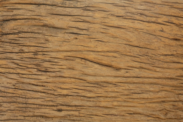 Wood background for design.