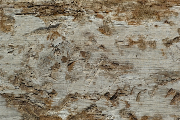 Wood background