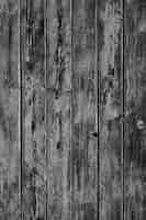 Free photo wood door texture