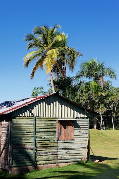 Free photo wood house in caribbean beach