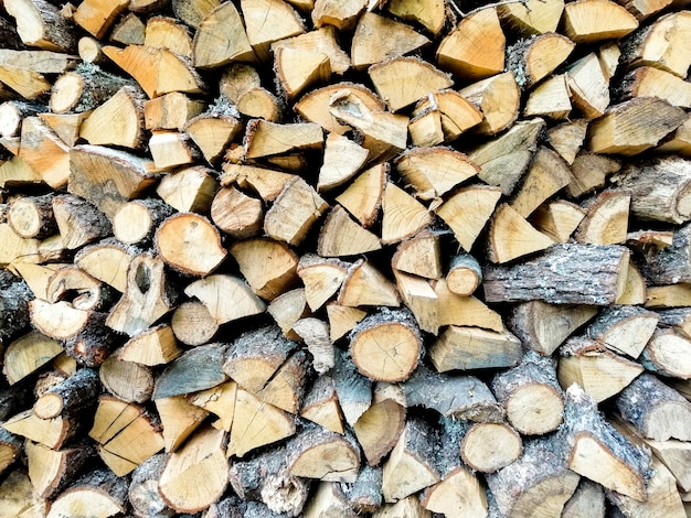 Wood logs texture