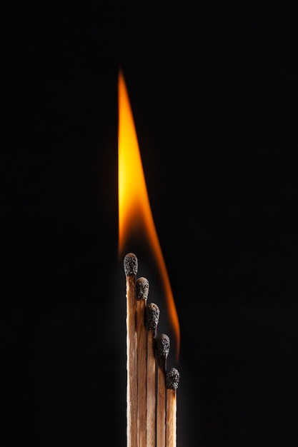 Free Photo wood matches with dark background