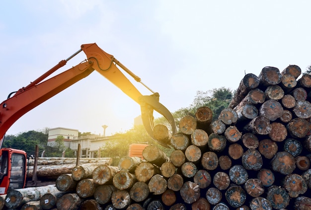 Wood processing factory