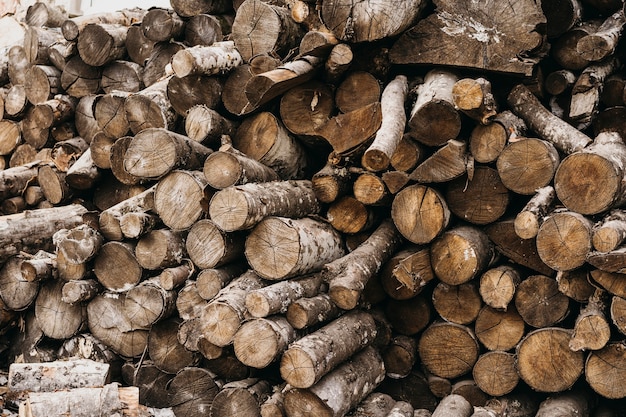 Wood stumps for winter arrangement