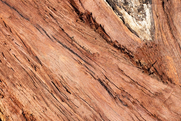 Free photo wood texture with grains