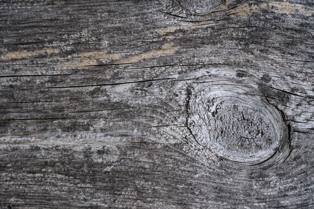 Wood texture of wood with knot for background and texture.