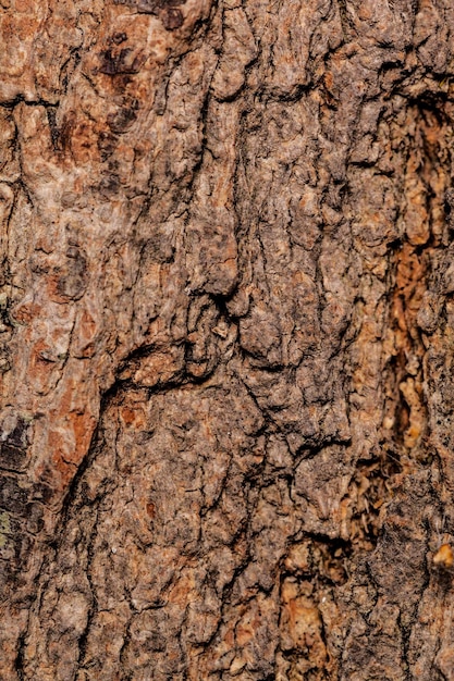 Wooden background