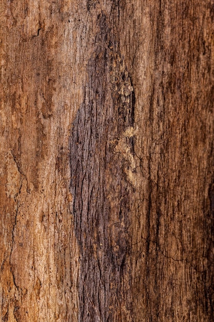 Wooden background