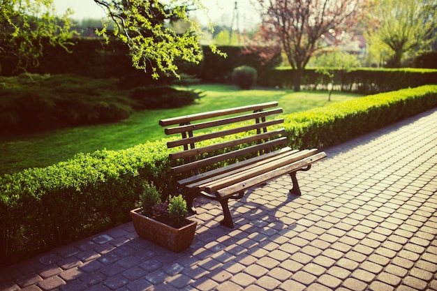 Wooden bench in the park