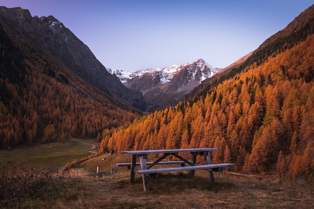 Free Photo wooden bench between two hills covered with yellow trees with the beautiful snow covered mountains