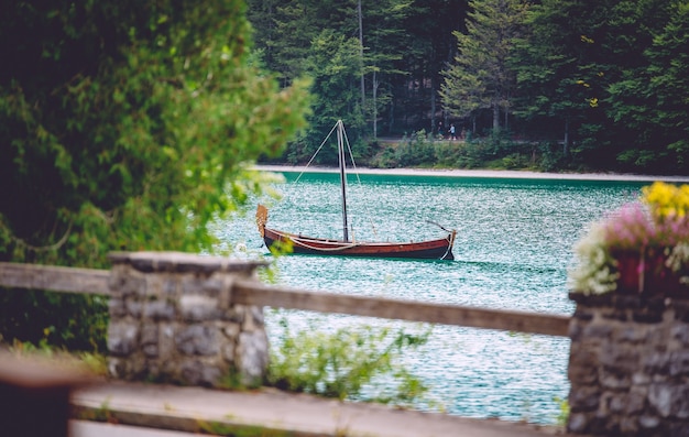 Free photo a wooden boat on the water surrounded by greenery under the sunlight