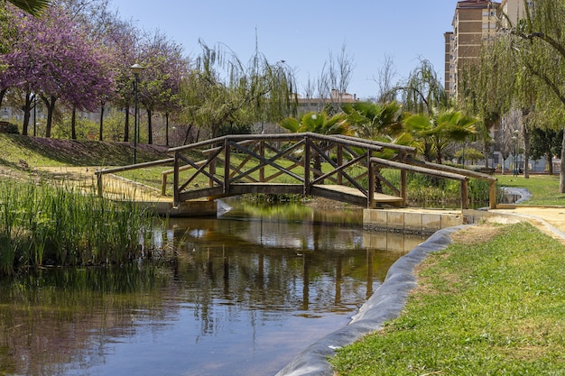 Wooden bridge over a river in a park in Malaga, Paisaje