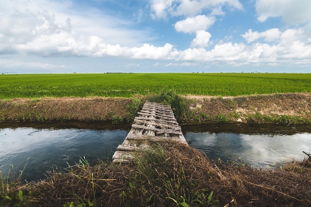 Wooden bridge on river with green field landscape