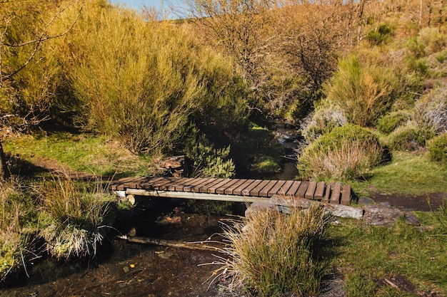 Free photo wooden bridge over small river