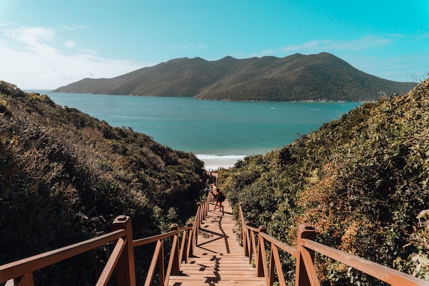 Wooden bridge surrounded by the sea and hills covered in greenery under a blue sky in Brazil