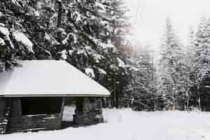 Free photo wooden building in winter forest