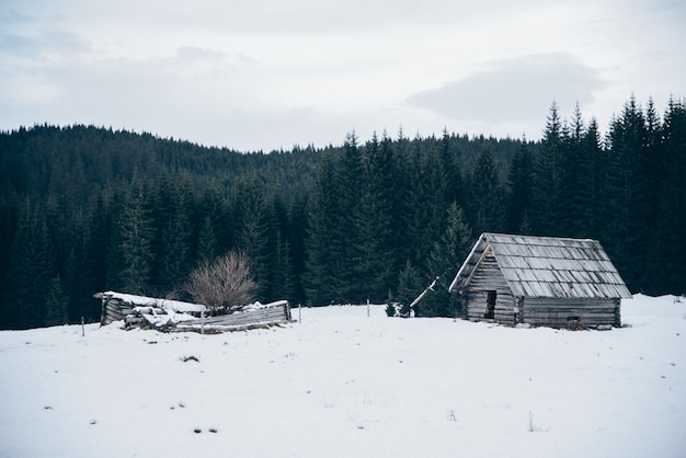 Free photo wooden cabin on snow covered field