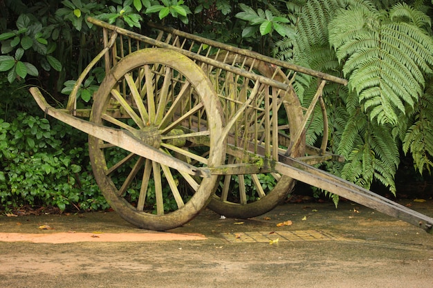 Free photo wooden cart