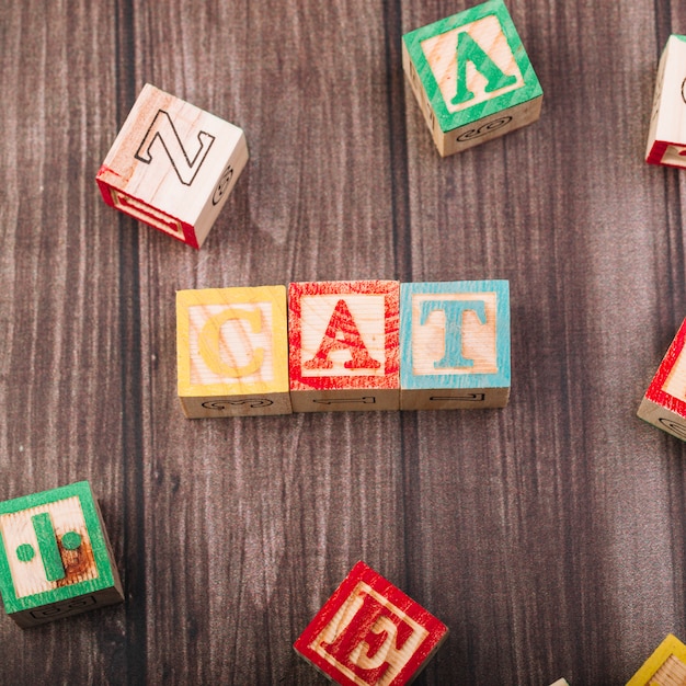 Wooden cubes with cat inscription