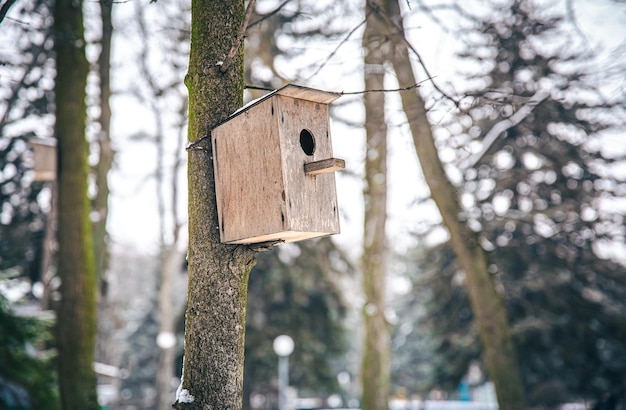 Free photo wooden feederhouse for birds in the forest on a tree