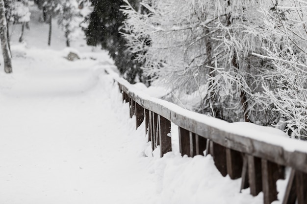 Free Photo wooden fence in snowy woods