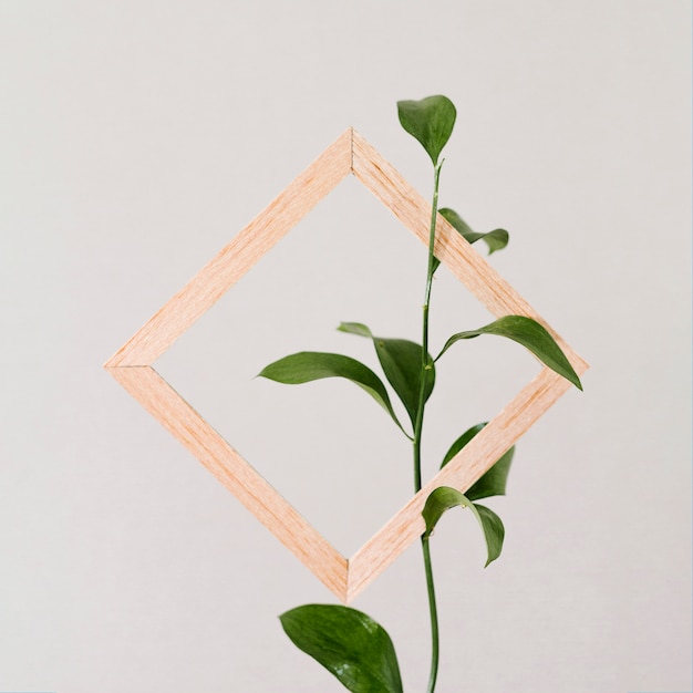 Free Photo wooden frame with green leaf