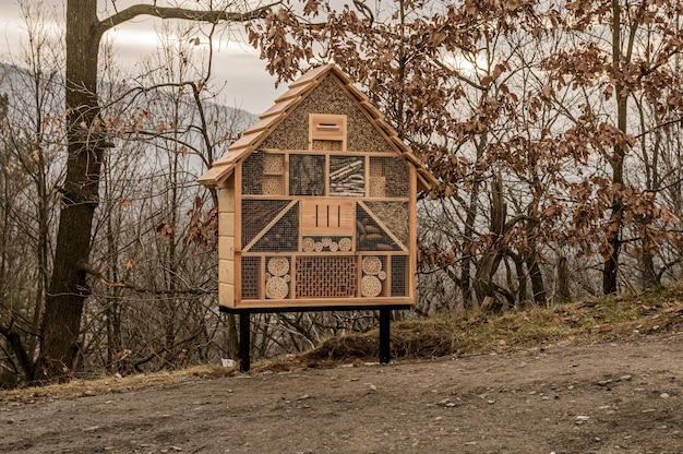 Free photo wooden house for bees and insects in a forest covered in trees under a cloudy sky in autumn