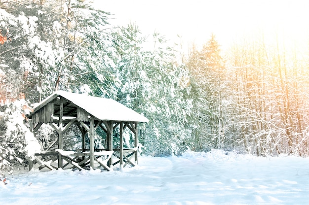 Free Photo wooden house covered with snow