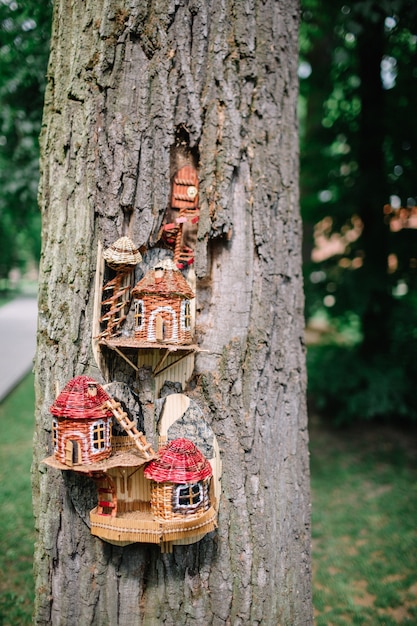 Free photo wooden house designed in an old tree