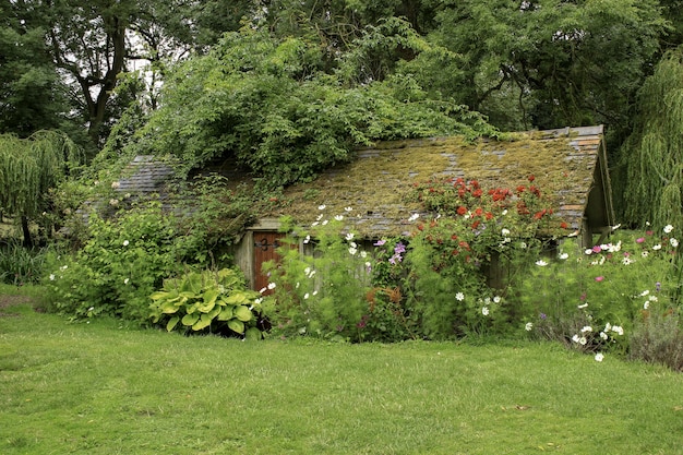 Wooden house in a grassy field surrounded by plants and flowers