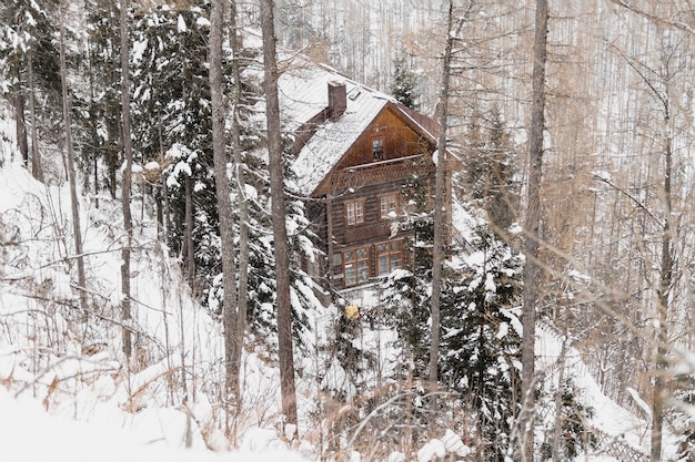 Wooden house in winter forest