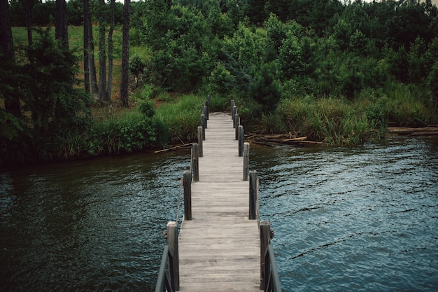 Free Photo wooden landing stage boardwalk leading from lake to forest